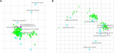 Antigenic and Genetic Characterization of Swine Influenza Viruses Identified in the European Region of Russia, 2014–2020